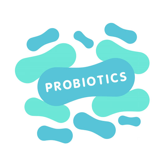 Beyond the Gut: Probiotics for ADHD, ADD, Anxiety, and Constipation