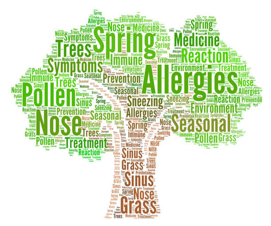 Embrace the Fun Side of the Season!   Breathe Easy: Unleashing All the Great Products for Allergy and Sinus Relief