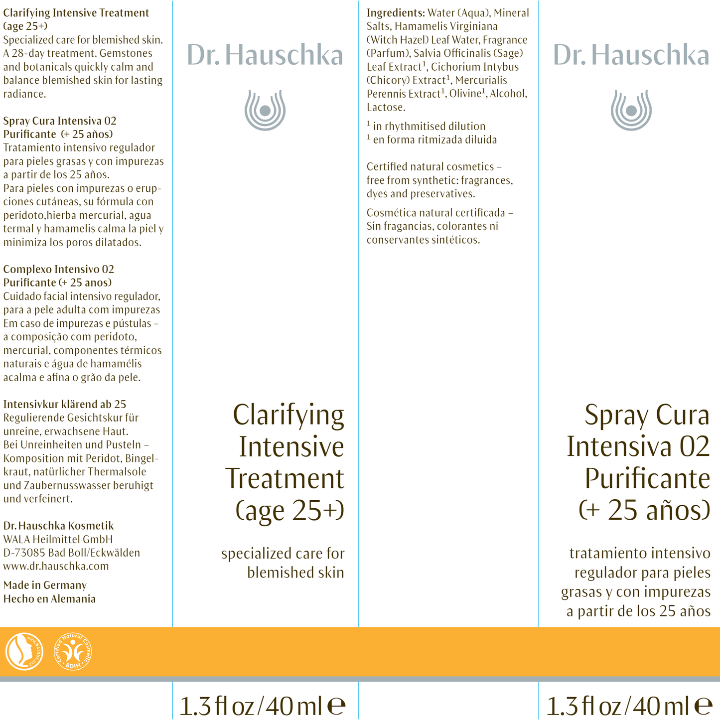 Clarifying Intensive (Age 25+)